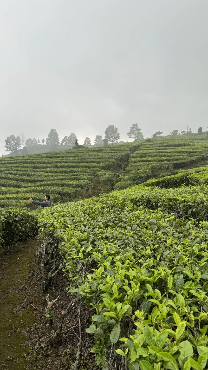 Lembang, Indonesia